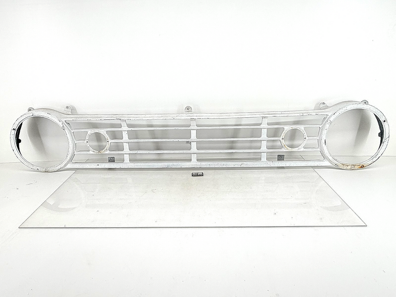 RARE OEM 1965 1966 1967 Dodge Truck Radiator Grille Assembly 2518596 D100 D200