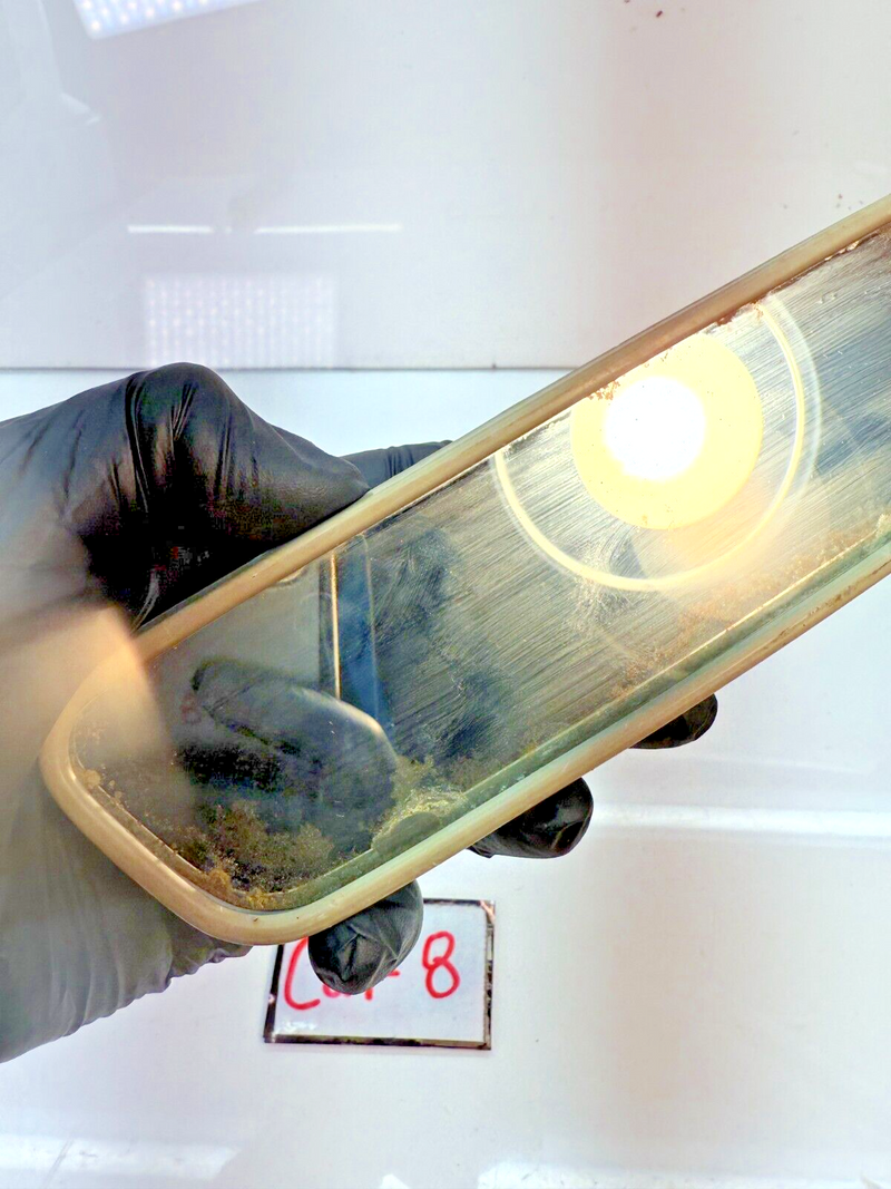 OEM 1966 Chevrolet Chevy II Nova SS Rear View Guide Glare Proof Mirror 66 C24-8