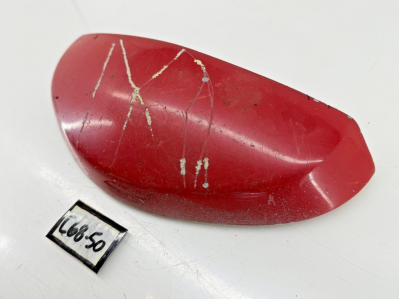OEM 1968 - 1979 VW Beetle Bug Deck Lid License Plate Light Housing C68-50