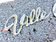 cf897e6c-1017-4a83-b71b-0057fce8161d