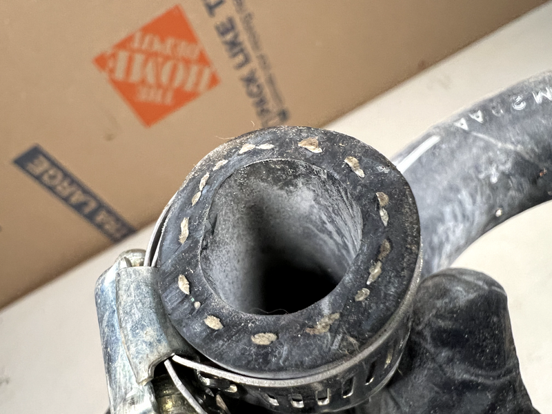 NOS Ford OEM Molded Hose E6DE-8597-AA with Factory Clamps B26
