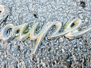 e40e5ad7-9a9e-4bbc-9022-ebe64a3470b9