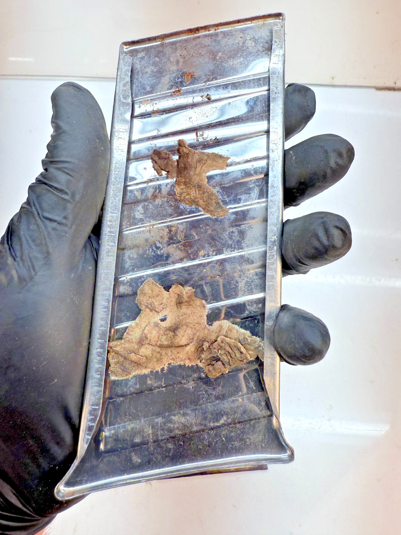 OEM 1955 CHEVY BELAIR 150 210 QUARTER PAINT DIVIDER LOWER REAR B75-8