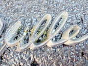 f711ebfe-5270-40d5-9b22-758ed1ba7c03