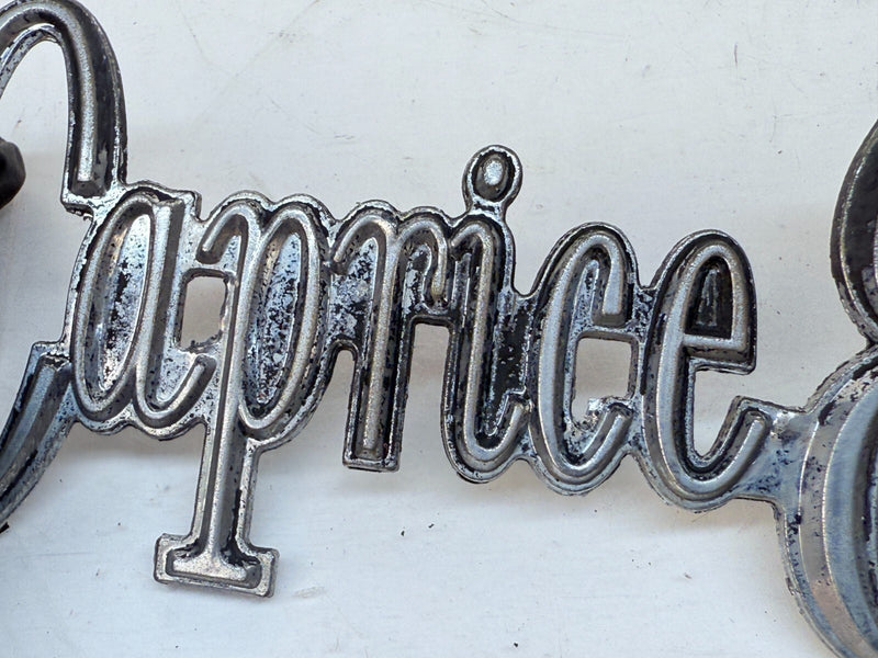 OEM 1973 - 1976 CHEVROLET CAPRICE ESTATE EMBLEM 9625395 1974 1975 B32-345