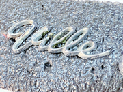 988b0879-62b8-4f7b-aafa-753faba42f07